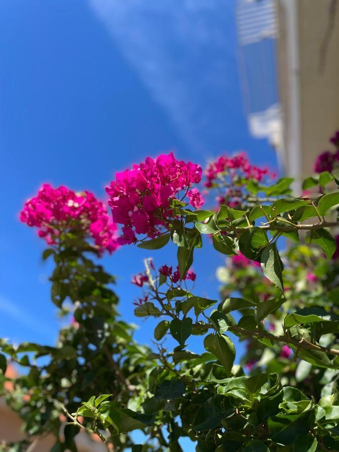 Apartmani Katic Makarska Exterior foto